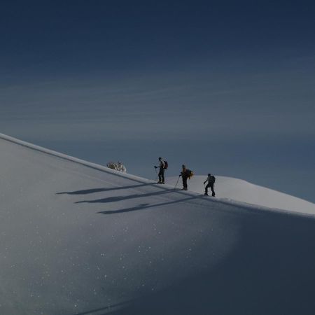 הוילה לינגואגלוסה Rifugio Il Ginepro Dell'Etna מראה חיצוני תמונה